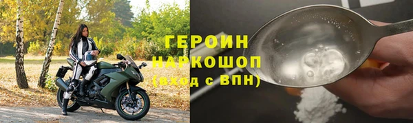 прущие грибы Ельня
