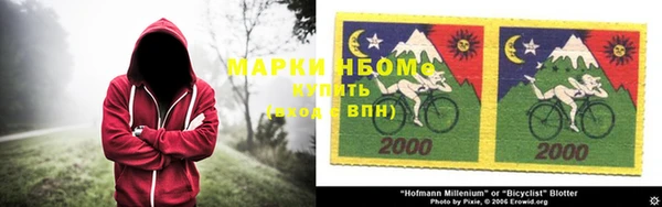 индика Заводоуковск