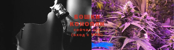 индика Заводоуковск