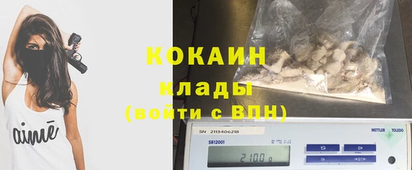 индика Заводоуковск