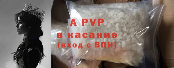 прущие грибы Ельня