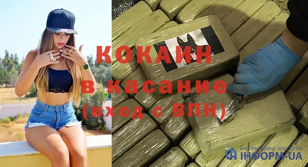 индика Заводоуковск
