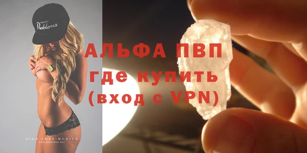 индика Заводоуковск