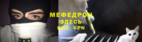 индика Заводоуковск
