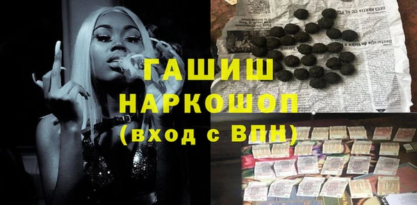индика Заводоуковск
