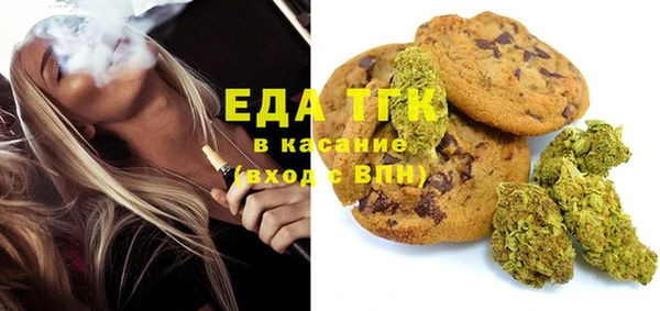 индика Заводоуковск