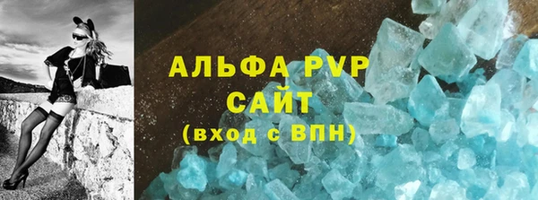 прущие грибы Ельня