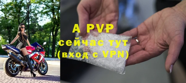 прущие крисы Киренск