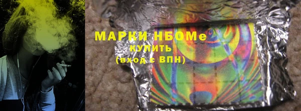 прущие грибы Ельня