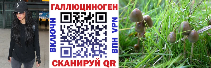 купить   MEGA вход  Галлюциногенные грибы мухоморы  Кукмор 